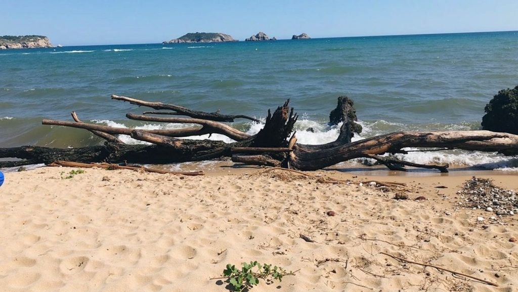 Platja de la Fonollera — foto 1 de 6