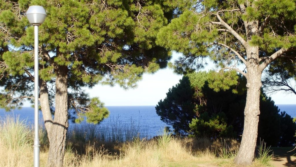 Platja de les Portes — foto 6 de 6