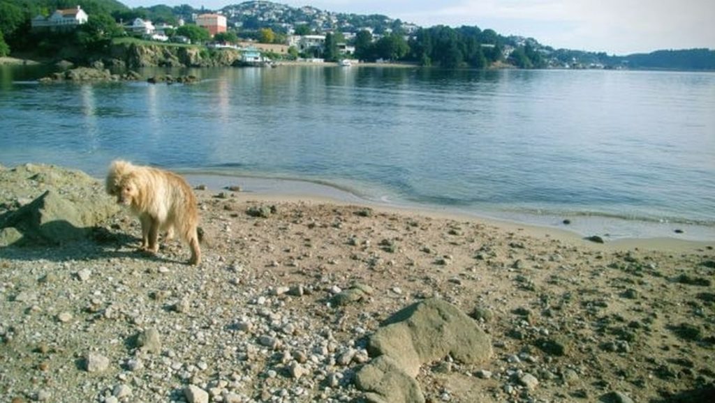 Platja de les Titarolites — foto 2 de 6