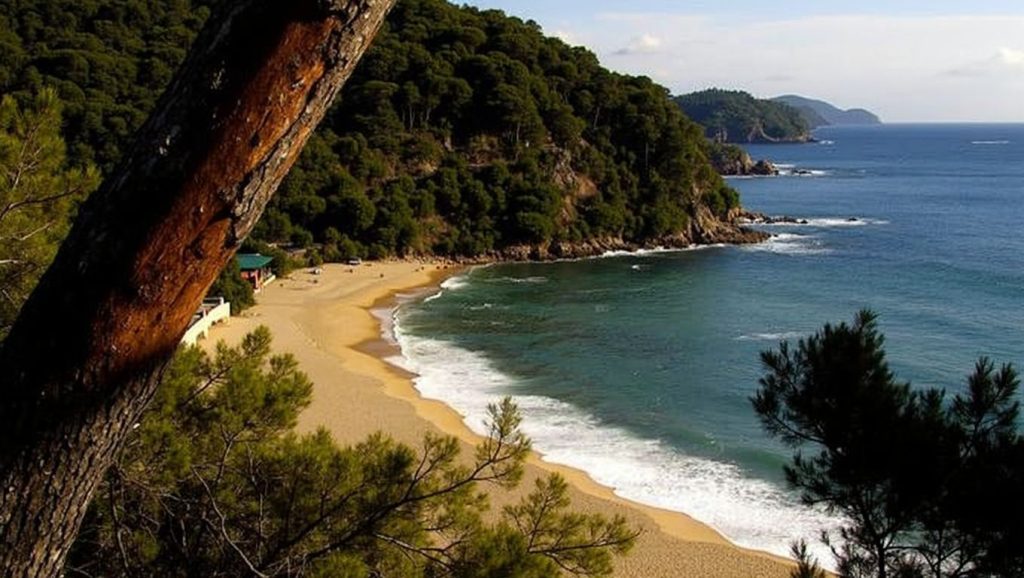 Platja de Lloret — foto 2 de 6