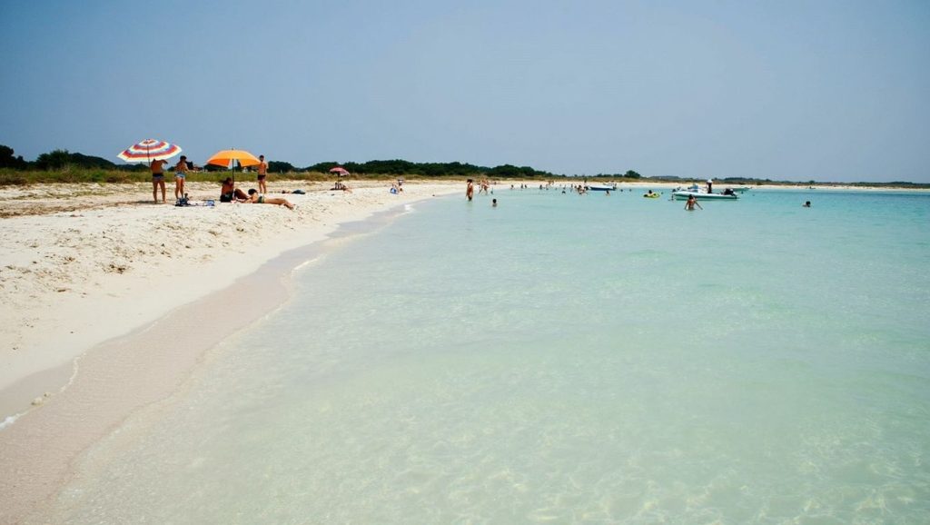 Entorno natural de Platja de s'Alga (Formentera) en 