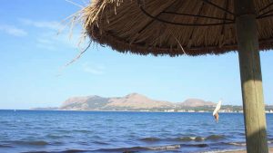 Platja de sa Clota (Andratx, Mallorca)