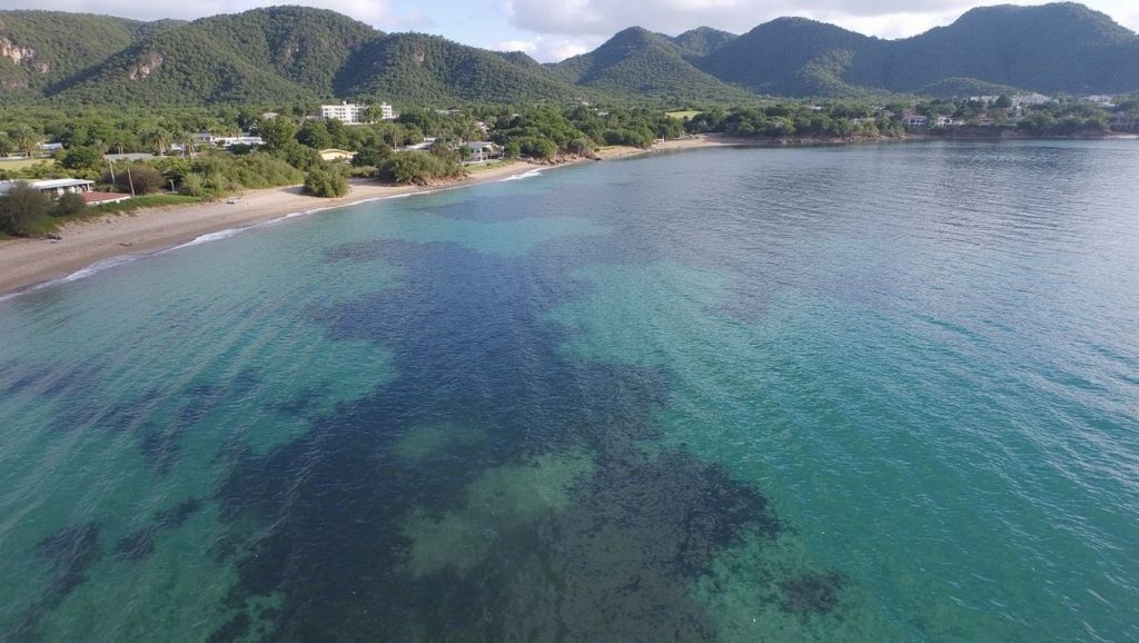 Platja de sa Marjal — foto 3 de 6