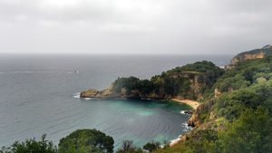 Platja de sa Pedrera (Tossa de Mar, Girona)
