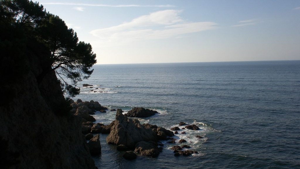 Platja de sa Somera — foto 6 de 6