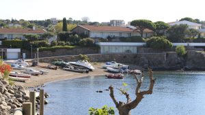 Platja de ses Oliveres