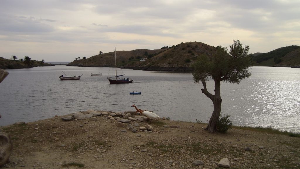 Platja de ses Oliveres — foto 2 de 6