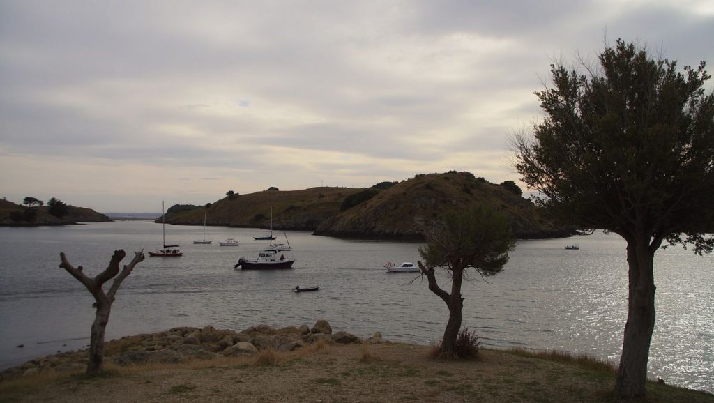 Platja de ses Oliveres — foto 6 de 6