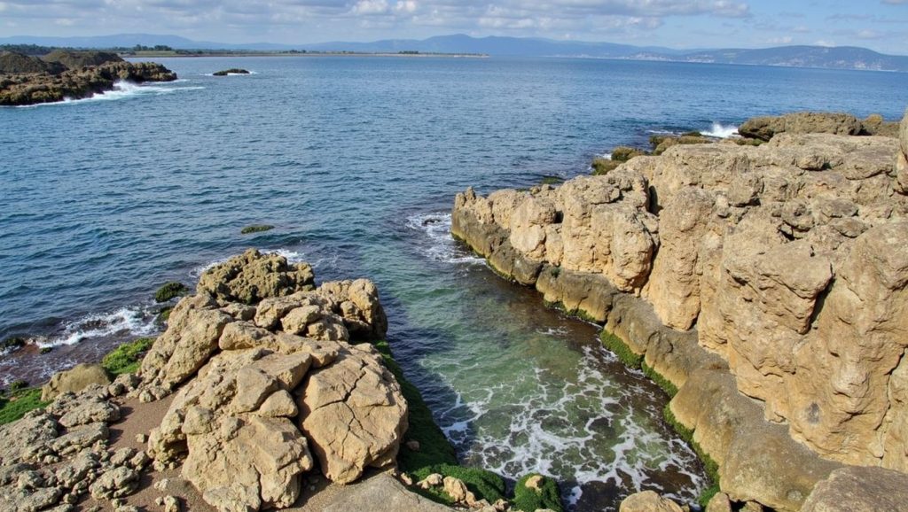Platja del Moll Grec — foto 2 de 6