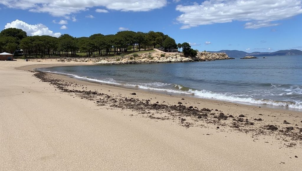 Platja del Rec del Molí — foto 4 de 6
