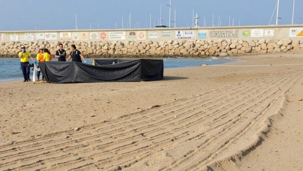 Platja dels Capellans — foto 2 de 6