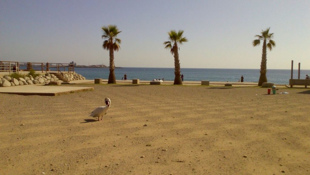 Platja des Monestri — foto 2 de 6