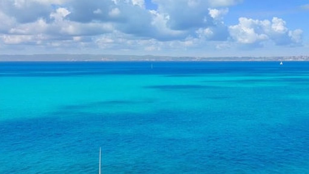 Entorno natural de Platja des Ram (Formentera) en 