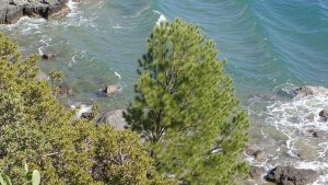 Platja sota del Parador