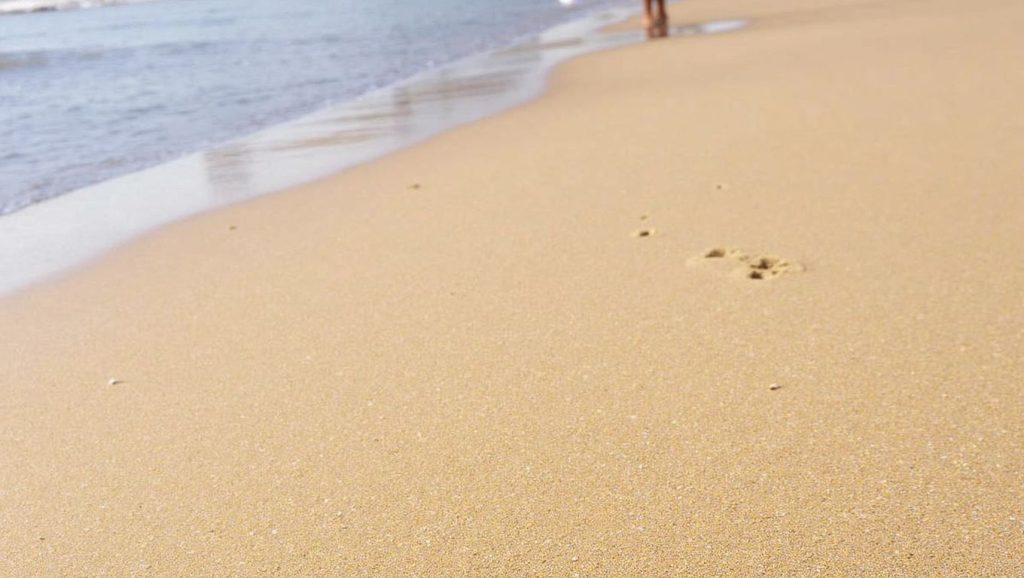 Playa de l'Aigua Morta — foto 2 de 6