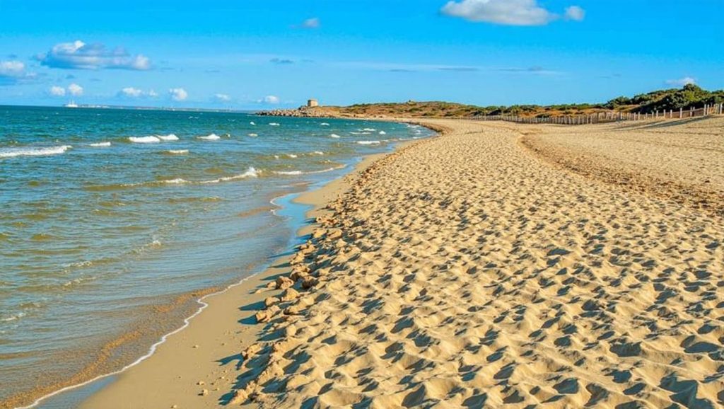 Playa de S'Esqueneta Arenesta — foto 6 de 6