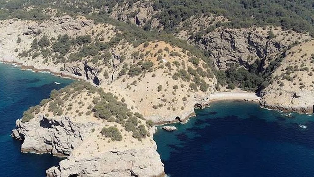 Playa de ses Ovelles — foto 6 de 6