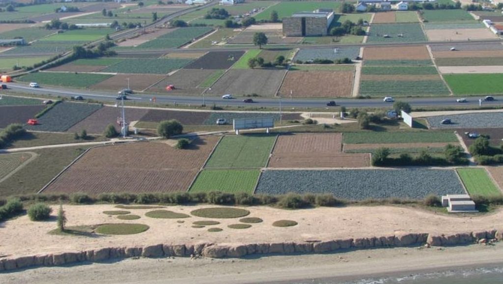 Playa Els Peixets — foto 3 de 6