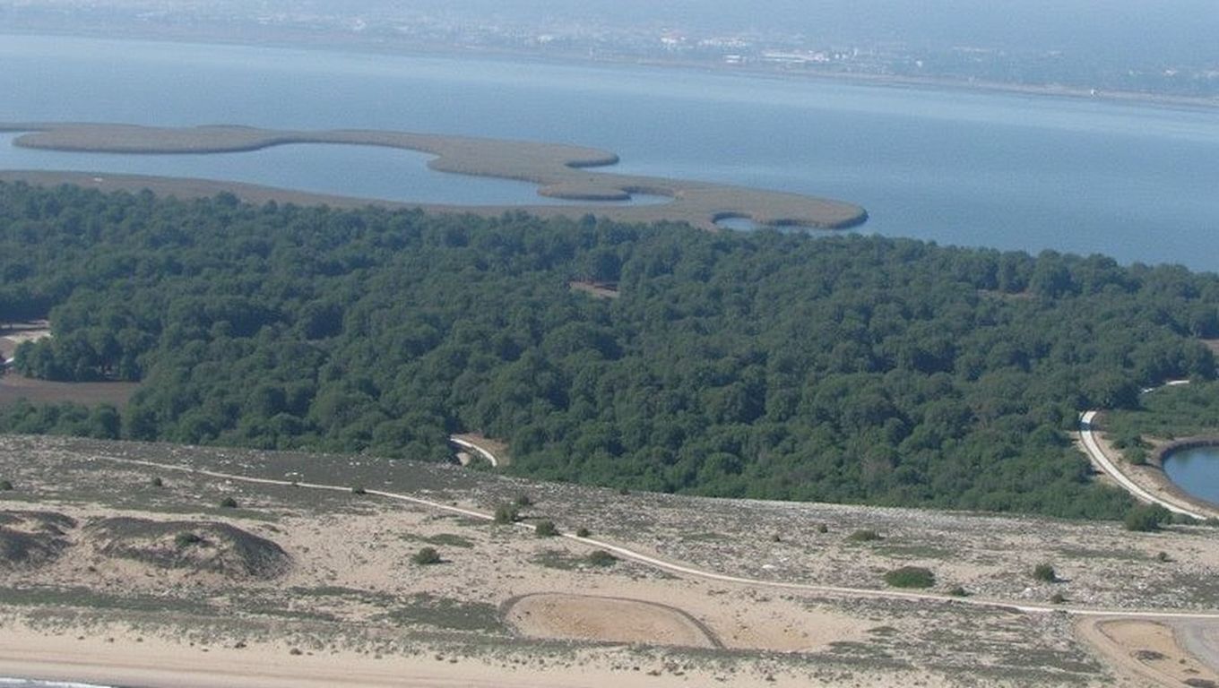 Playa Les Devesses (Oliva, Valencia)