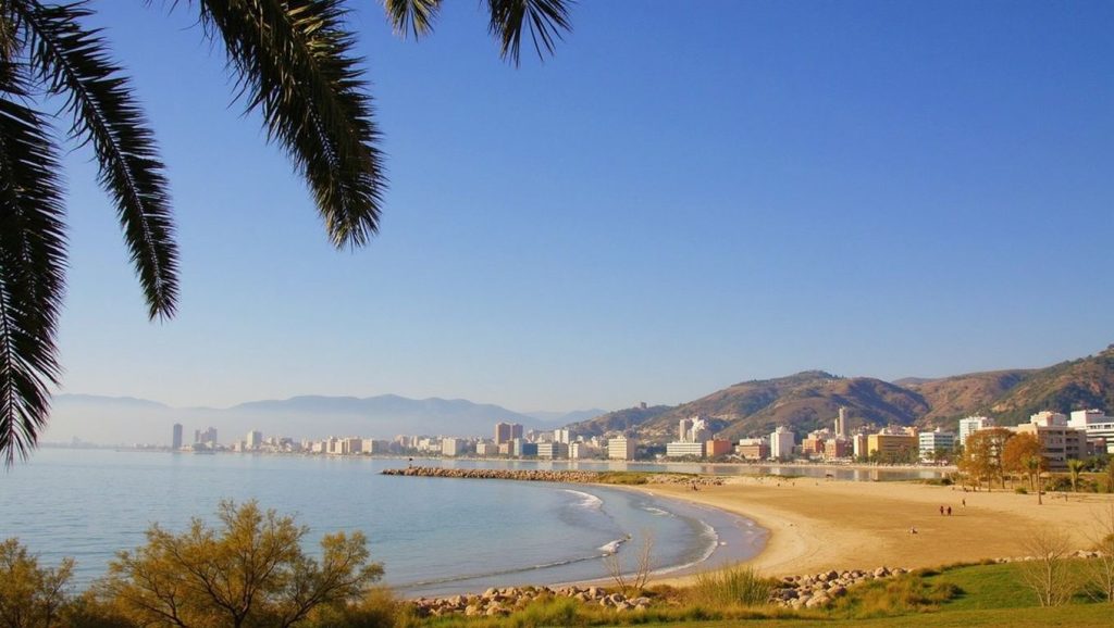 Playa Los Olivos — foto 6 de 6