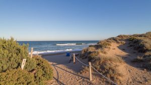 Playa Nudista El Saler