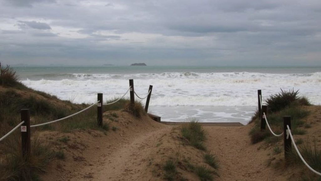 Playa Nudista El Saler — foto 6 de 6