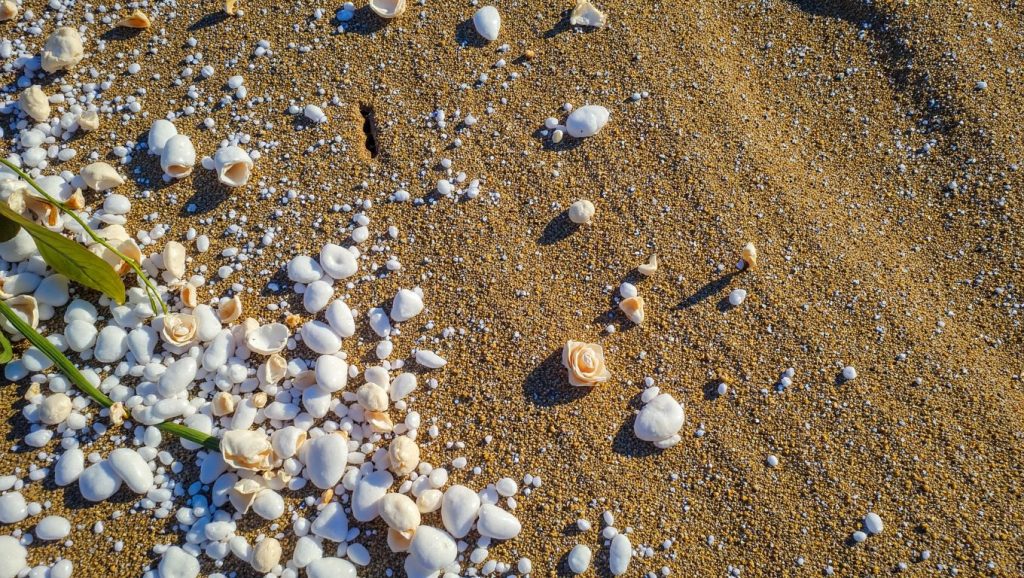 Playa Terra Nova — foto 3 de 6