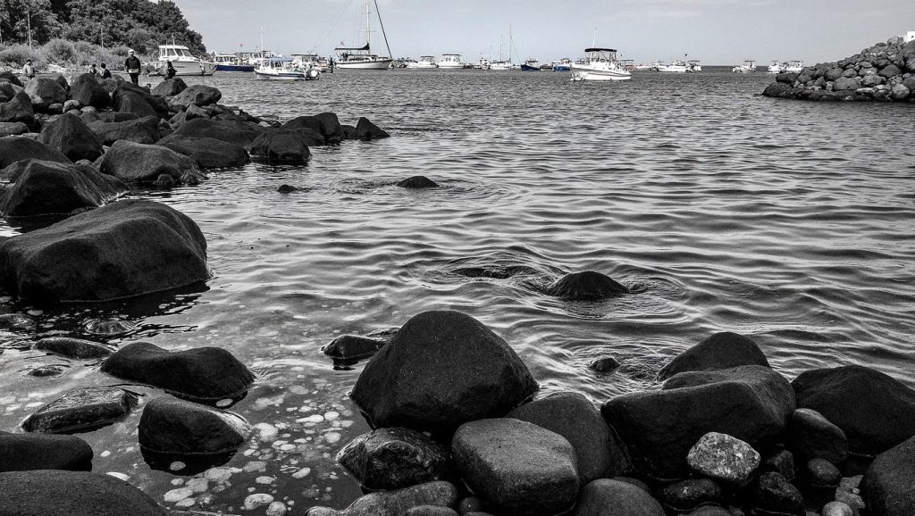 Port des Orats — foto 6 de 6