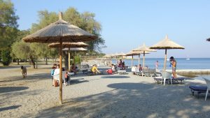 Nudist Beach Mytilini
