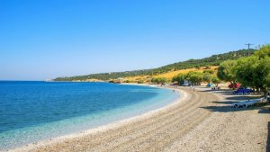 Tsipourias Beach