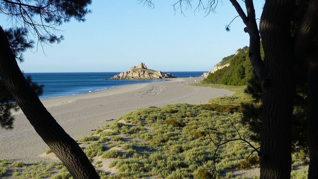 Platja del Torn - Tarragona