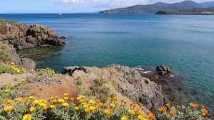 Plage Balanti (Port-Vendres, Pyrénées-Orientales)