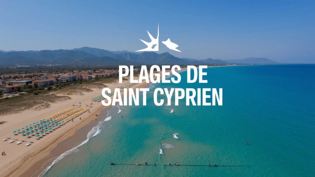 Plage de l'Art — foto 6 de 6