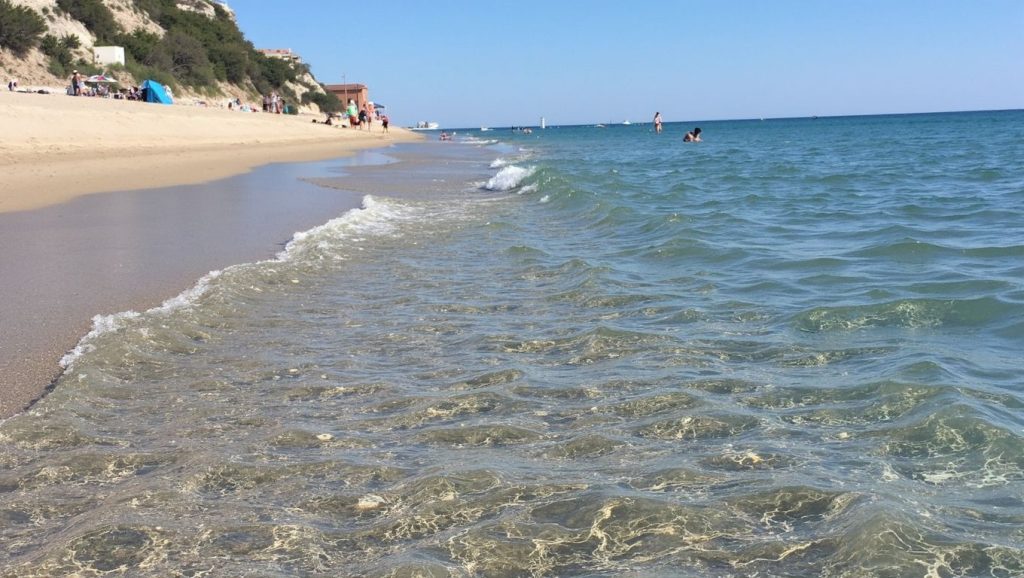 Plage de Port-Leucate — foto 5 de 6