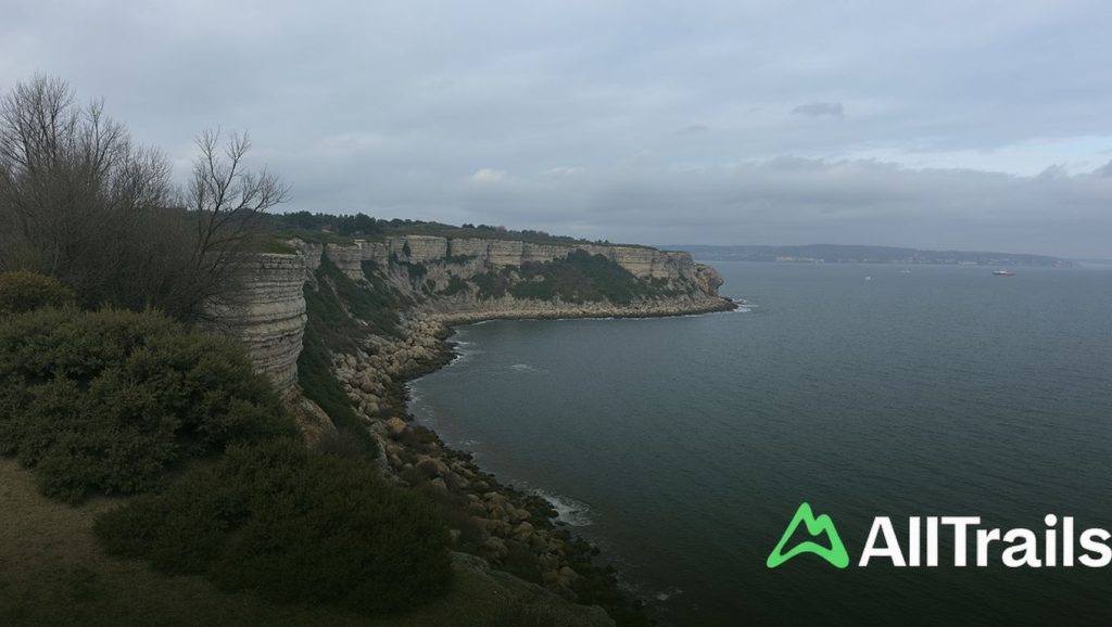 Plage des Coussoules — foto 1 de 6
