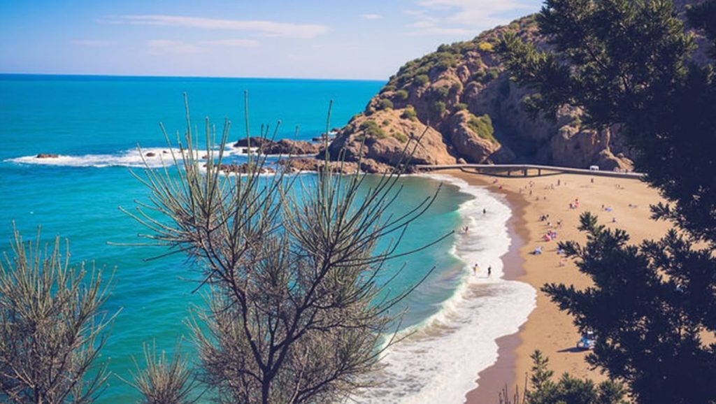 Plage du Racou — foto 1 de 6