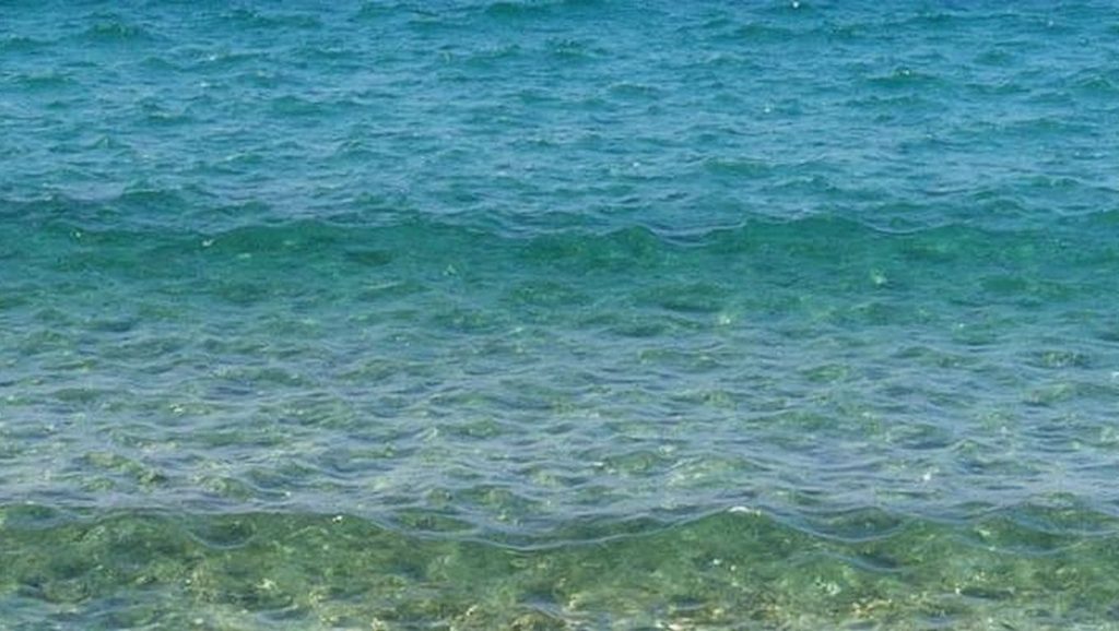 Plage du Racou — foto 3 de 6