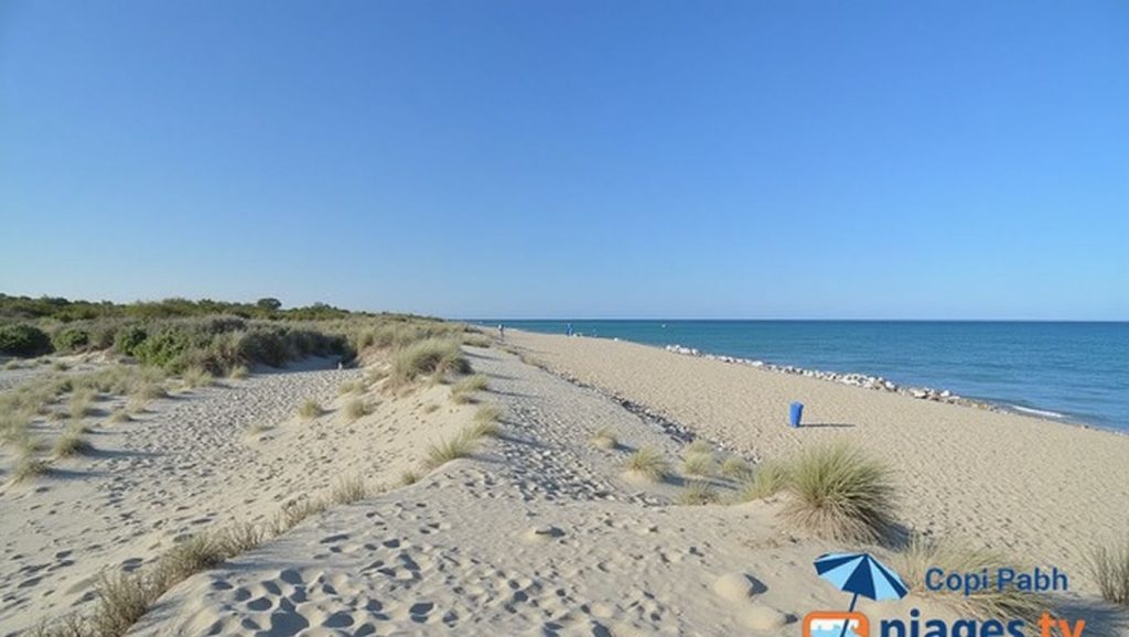 Plage du Sardinal — foto 5 de 6