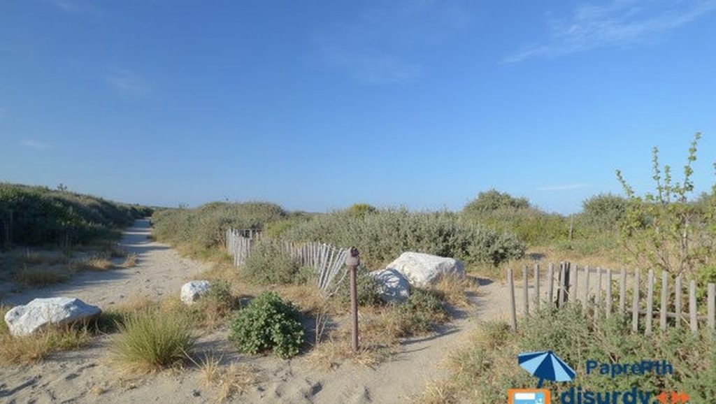 Plage du Sardinal — foto 6 de 6