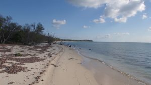 Plage naturiste du Bocal du Tech