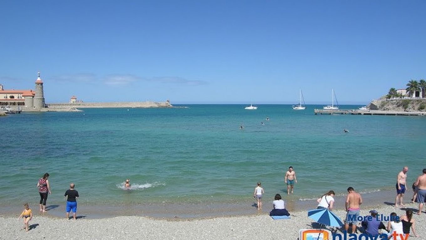 Port d'Avall (Collioure, Pyrénées-Orientales)