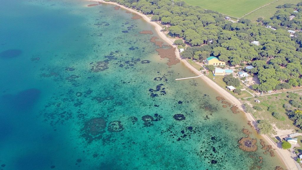 Baia delle ninfee — foto 1 de 6