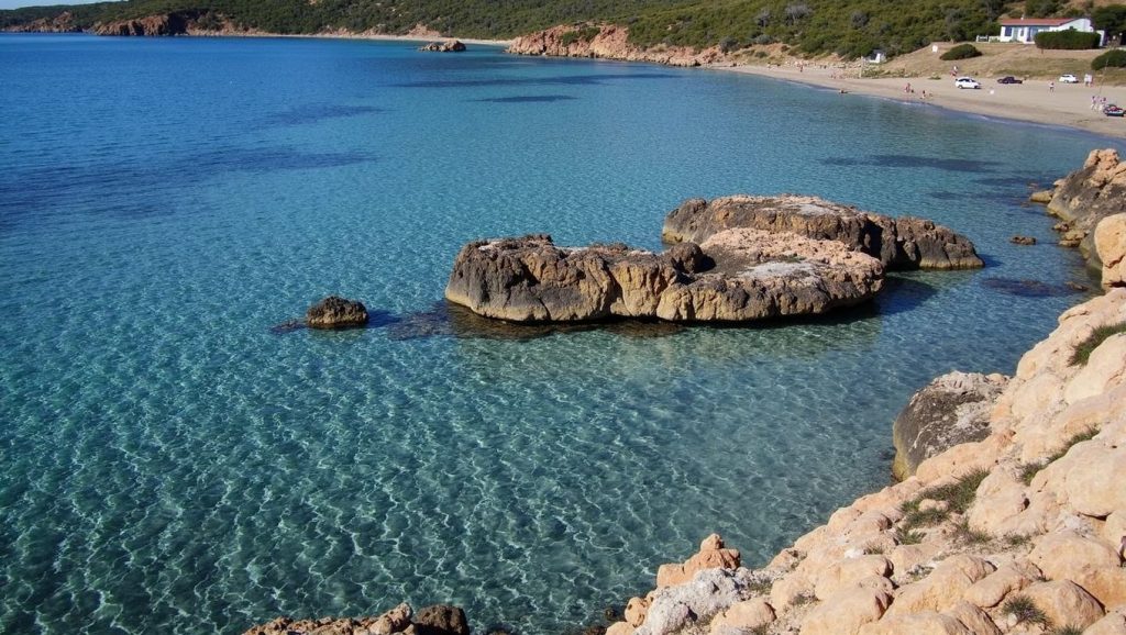 Coaquaddus — foto 4 de 6