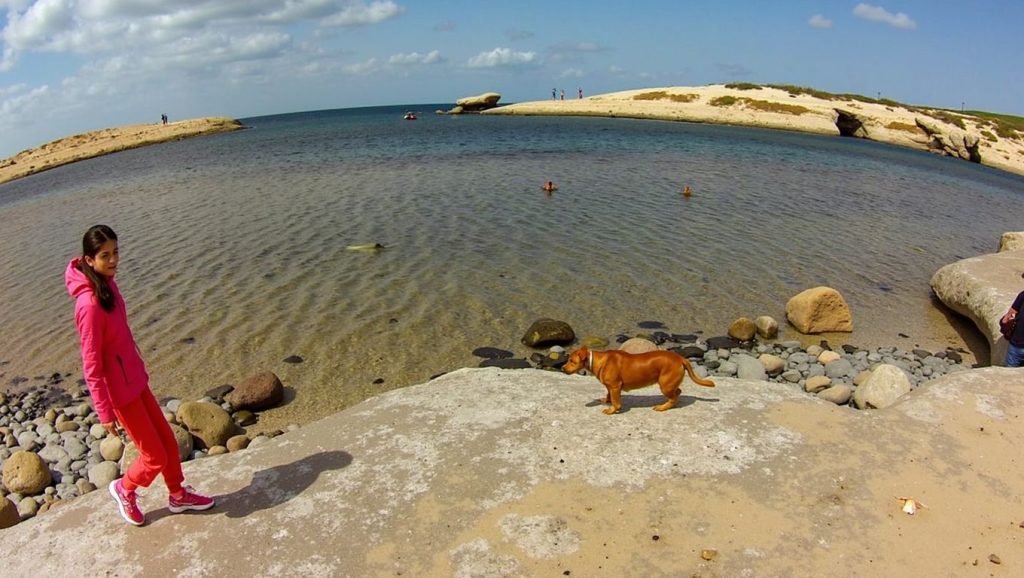 Dog Beach — foto 5 de 6