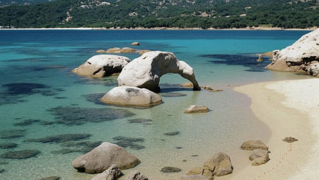 Elephant's Beach — foto 3 de 6