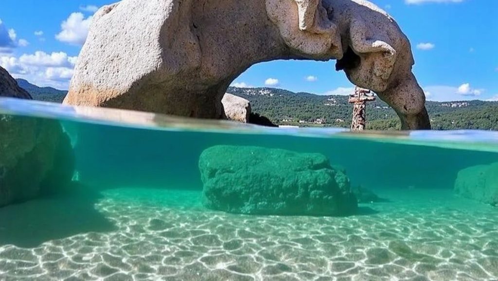 Elephant's Beach — foto 5 de 6