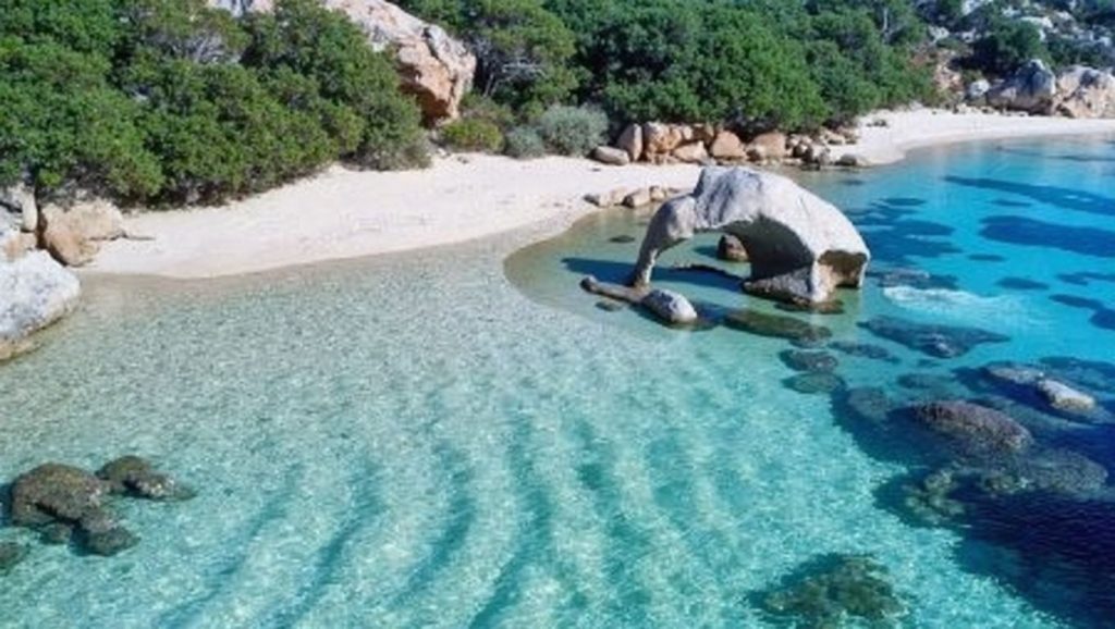 Elephant's Beach — foto 6 de 6