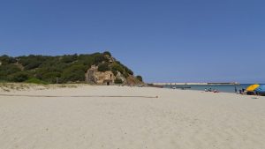 Osalla