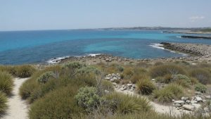 Agia Barbara Beach