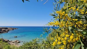 Agios Ermogenis Beach (Limassol, Chipre)